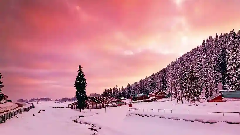 Gulmarg - Skiing and Gondola