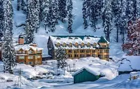 Kashmir Dreamy Duo